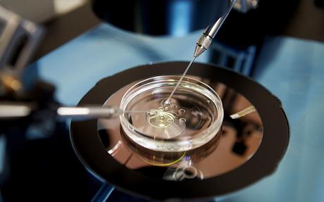 How safe is in-vitro fertilization?