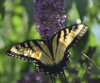 Two of My Favorite Things