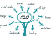 S.E.O What Help Boost Your Website