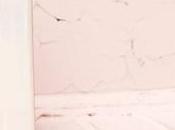 OnePlus Launch Smart Last Week September 2019