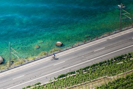 Bouquet de Lavaux