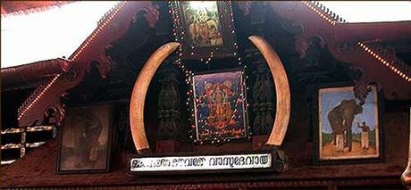 World Elephant Day - remembering Gajarajan Guruvayur Kesavan