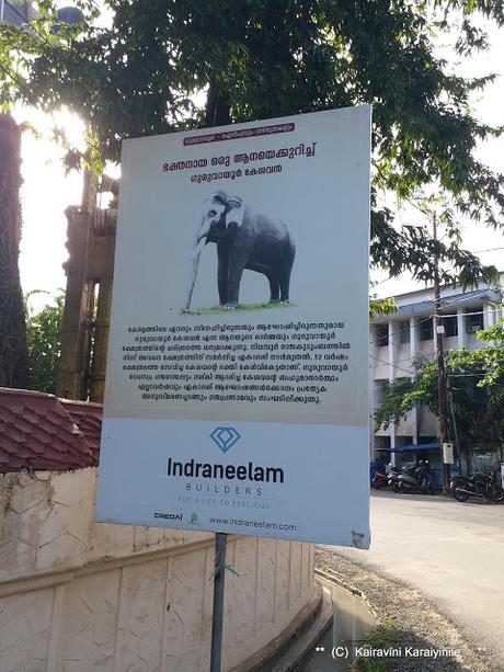 World Elephant Day - remembering Gajarajan Guruvayur Kesavan