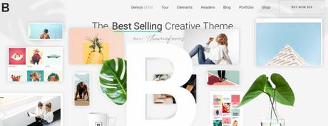 Responsive WordPress Theme