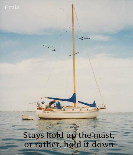 He is my hope and stay