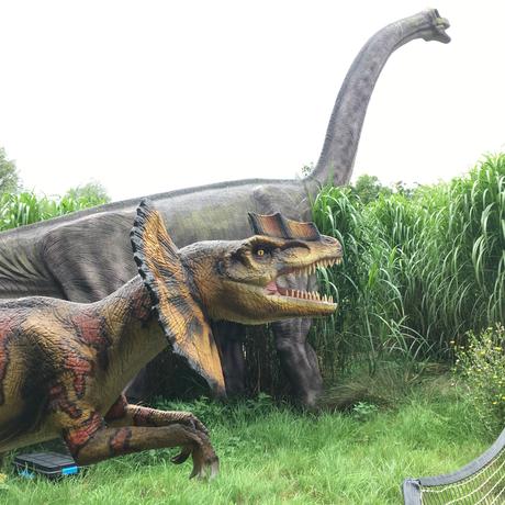 Gullivers Dinosaur & Farm Park, Milton Keynes | Review