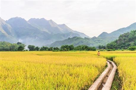 Vietnam Itinerary in 5 Days (North, Central & South Options)