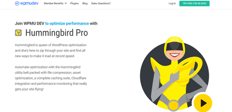 hummingbied pro wordpress plugin