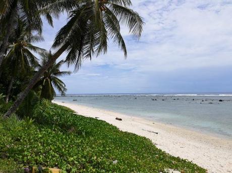Backpacking in Nauru: Top 8 Sights in Ronave, Ewa Province Backpacking in Nauru: Top 8 Sights in Ronave, Ewa Province