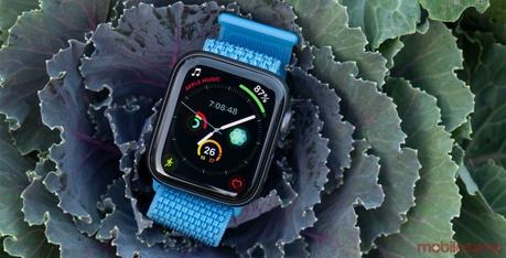 Leak suggests upcoming Apple Watch to have titanium and ceramic shells