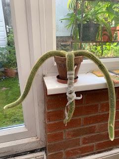 Irritating Plant of the Month August 2019 - sorry cactus.....