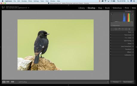 How to watermark in Lightroom