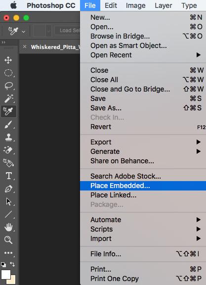 Adobe Photoshop File Options
