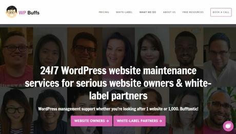 Top WordPress Club Memberships and Services Website Maintenance Packages