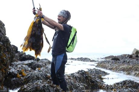 3. Join a foraging fortnight event (31st August – 15th September)