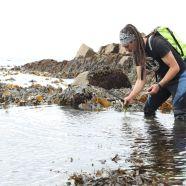 3. Join a foraging fortnight event (31st August – 15th September)