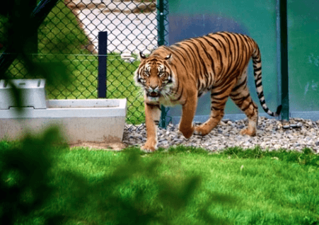 Best Places To Visit In Ahmedabad – Tourist Places