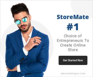 How To Build A Website To Sell Your Services Online WordPress WooCommerce theme