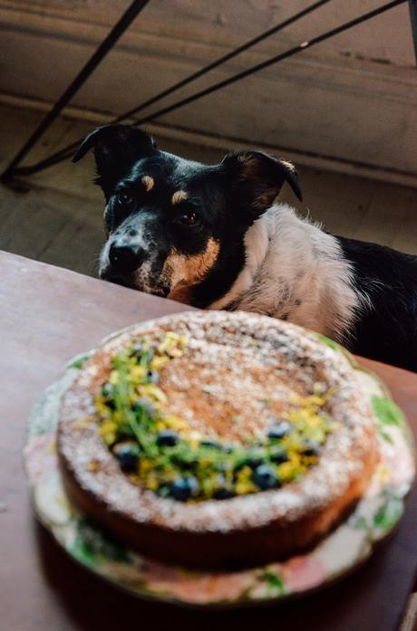 Gluten-Free Lemon Blueberry Almond Flour Cake with Pistachios and Thyme