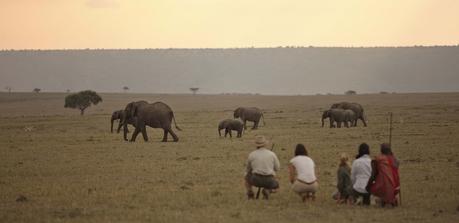 Top tips for safari 