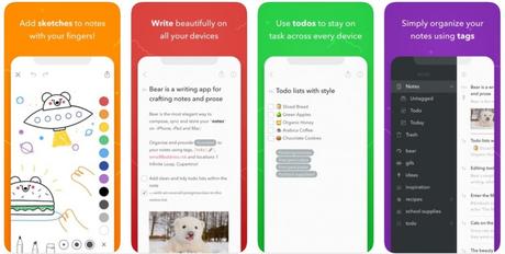 bear note taking app