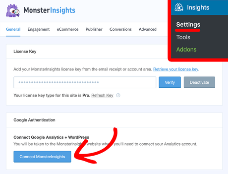 connect monsterinsights