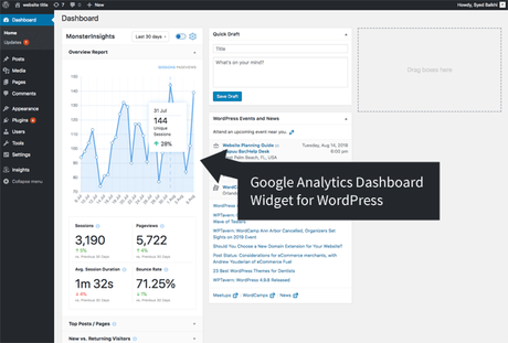 monsterinsights stats widget