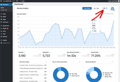 monsterinsights reports