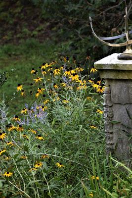 Late Summer Blue and Yellow
