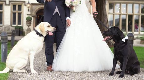 Dogs and Bow Ties – A Mitton Hall Wedding Video