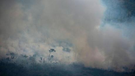 Brazil, Bolivia assessing needs after Canada offers $15M aid for Amazon fires