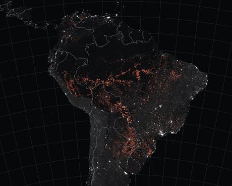 politics of fire in Amazon forests