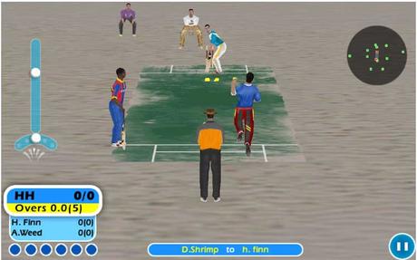 offline cricket game for android-beach-cricket