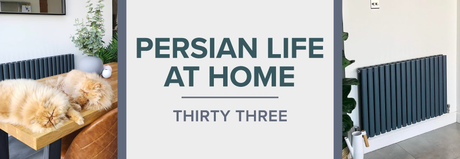 persian life at home thirty three blog banner
