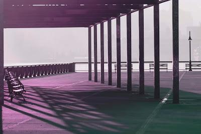 Friday Fotos: Experiments in purple