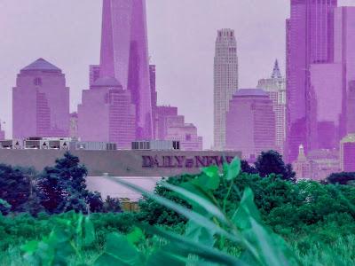 Friday Fotos: Experiments in purple