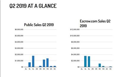 Liquid Domains Overview Q2 2019