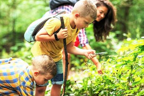 The Must-Do Nature Activities for Families in the UK