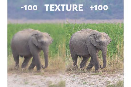 Texture Slider in Lightroom- -100 and +100