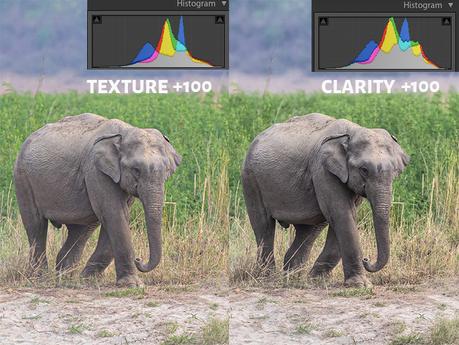 Texture Vs Clarity at +100 with Histogram