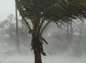 Dorian Triggers Massive Flooding Bahamas; Least Dead