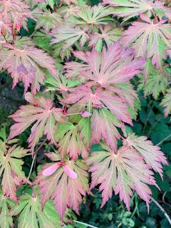 Autumn is tapping at the door