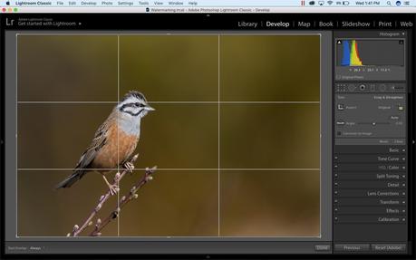 How to crop in lightroom