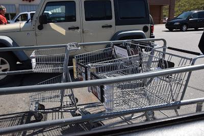 Shopping Buggy Corrals Make Me Think of Kant