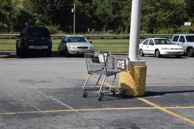 Shopping Buggy Corrals Make Me Think of Kant