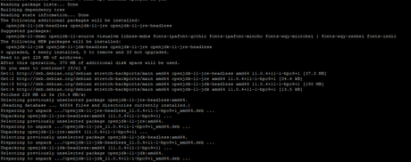 Install Java on Debian 9 Operating System Install Java on Debian 9 Operating System