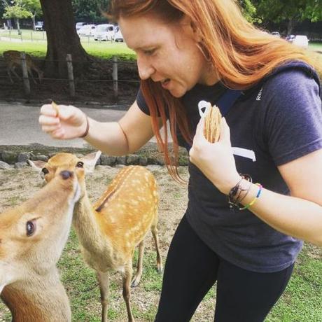 Hanging out in #Nara with the 🦌 for the day was amazing. They...