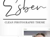 Choose Perfect Premium WordPress Theme