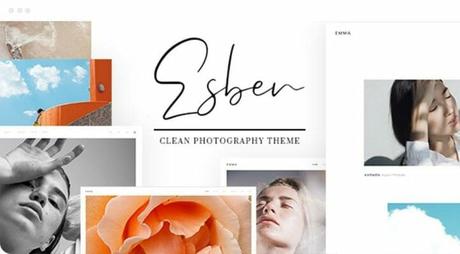 best premium wordpress themes
