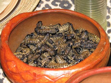 Expat Foodie: Wild for Worms